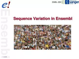 Sequence Variation in Ensembl