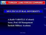 MULTICULTURAL DIVERSITY - slide 1