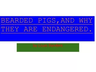 BEARDED PIGS,AND WHY THEY ARE ENDANGERED.