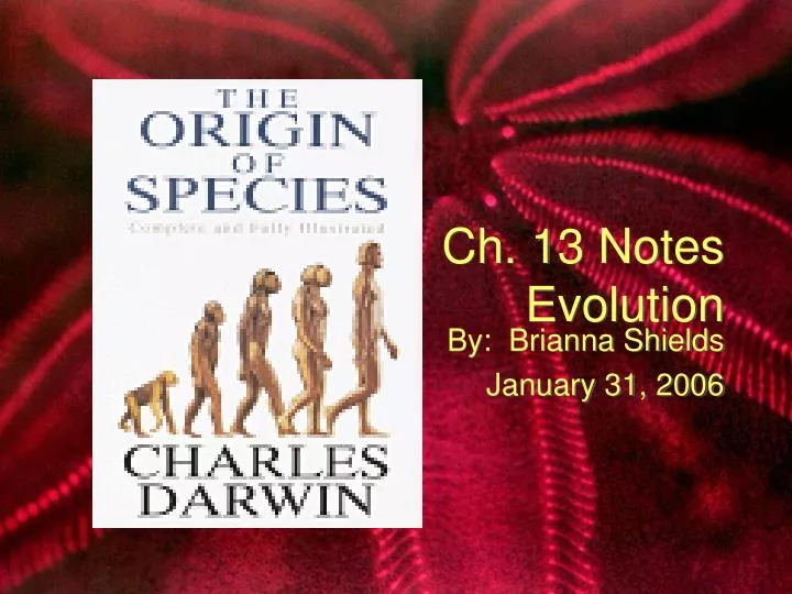 ch 13 notes evolution
