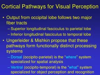 Cortical Pathways for Visual Perception