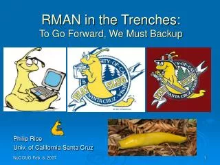RMAN in the Trenches: To Go Forward, We Must Backup