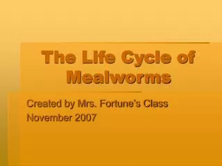 The Life Cycle of Mealworms
