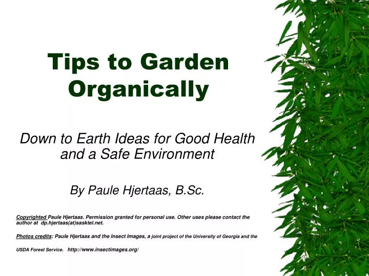 tips to garden organically
