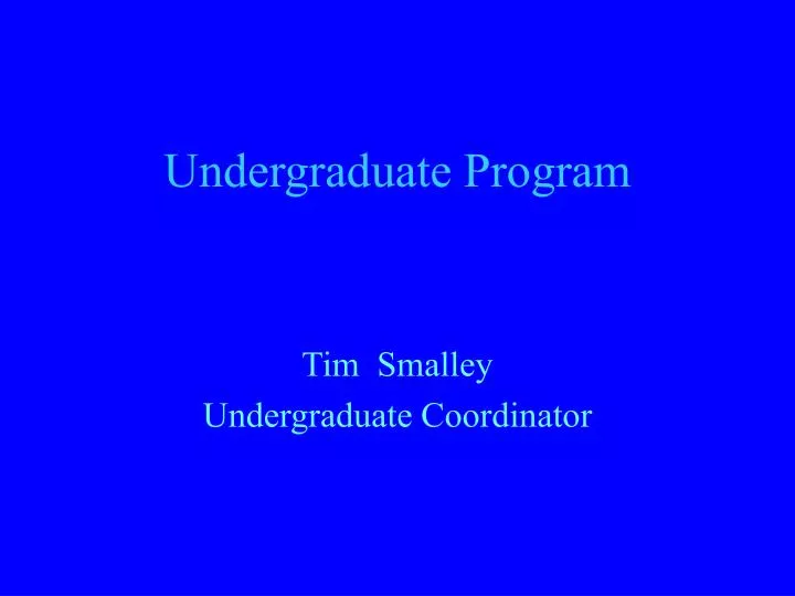 undergraduate program