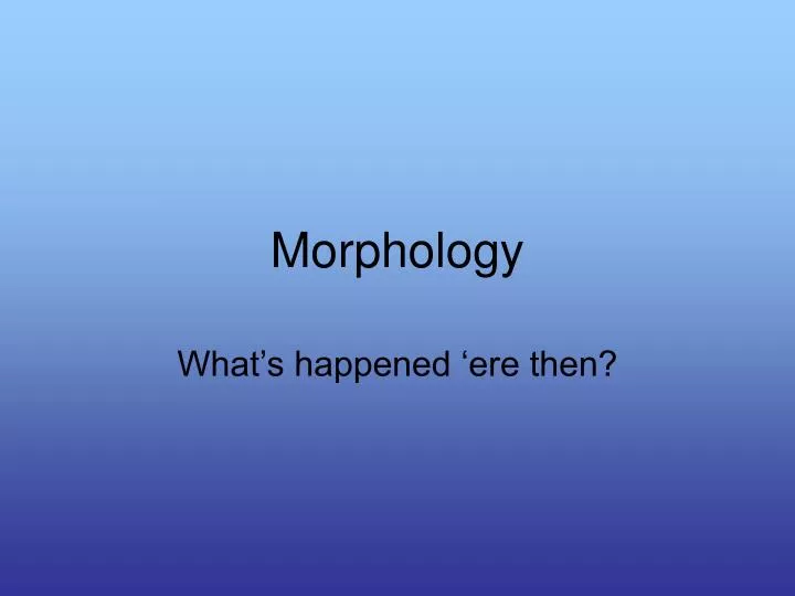 morphology