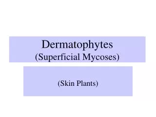 Dermatophytes (Superficial Mycoses)
