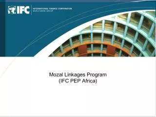 Mozal Linkages Program (IFC PEP Africa)