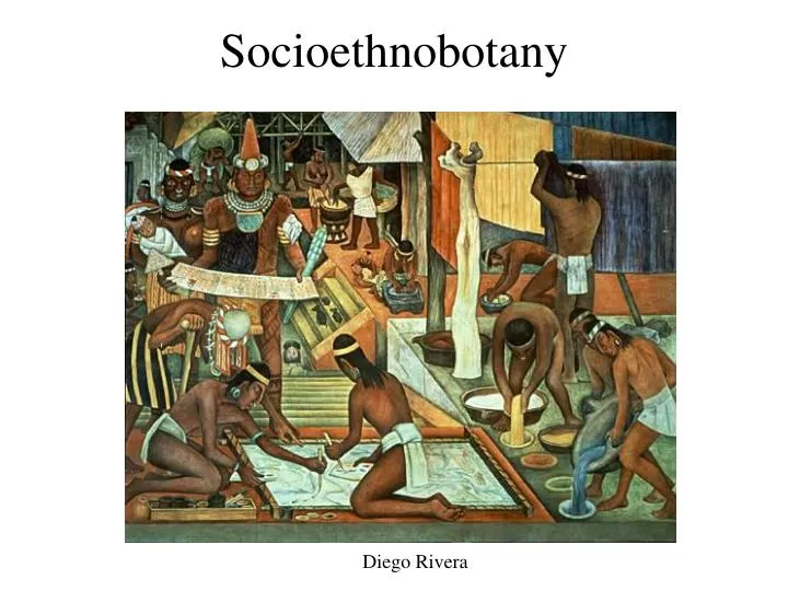 socioethnobotany