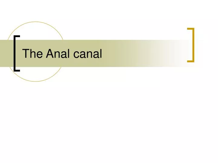 the anal canal