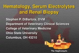 Hematology, Serum Electrolytes and Renal Biopsy