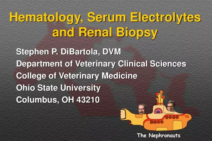 hematology serum electrolytes and renal biopsy