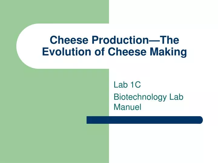 cheese production the evolution of cheese making