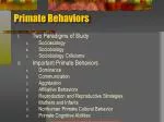 Primate Behaviors - slide 1