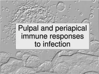 Pulpal and periapical immune responses to infection