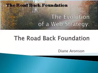 The Evolution of a Web Strategy: The Road Back Foundation