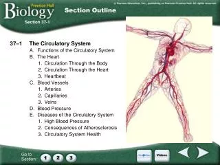 37–1	The Circulatory System A.	Functions of the Circulatory System B.	The Heart 1.	Circulation Through the Body 2.	Circu