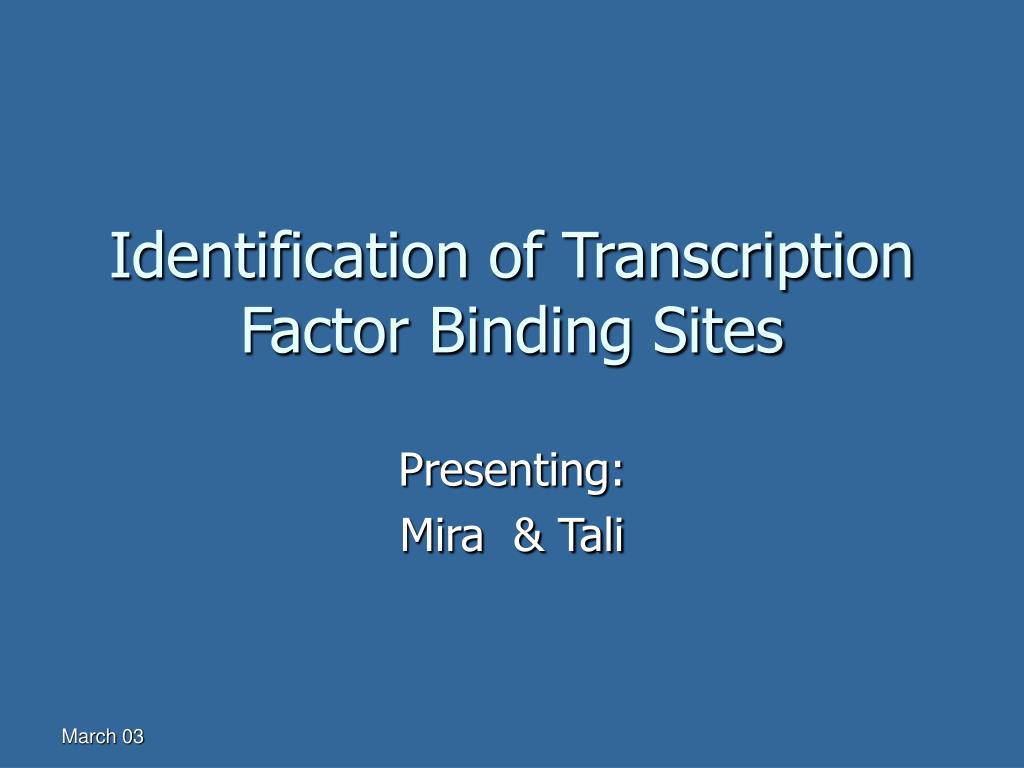 PPT - Identification of Transcription Factor Binding Sites PowerPoint ...