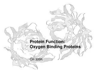 Protein Function: Oxygen Binding Proteins