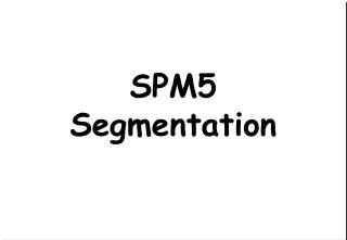 SPM5 Segmentation