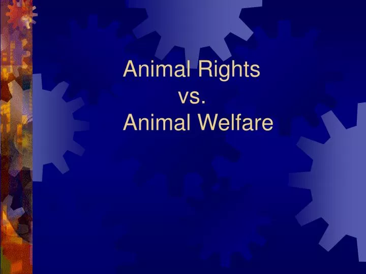 animal rights vs animal welfare