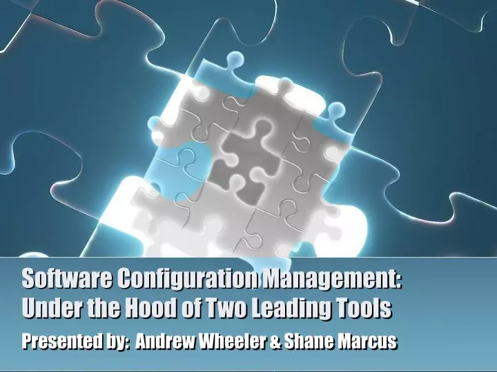 software configuration management under the hood of two leading tools