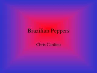Brazilian Peppers