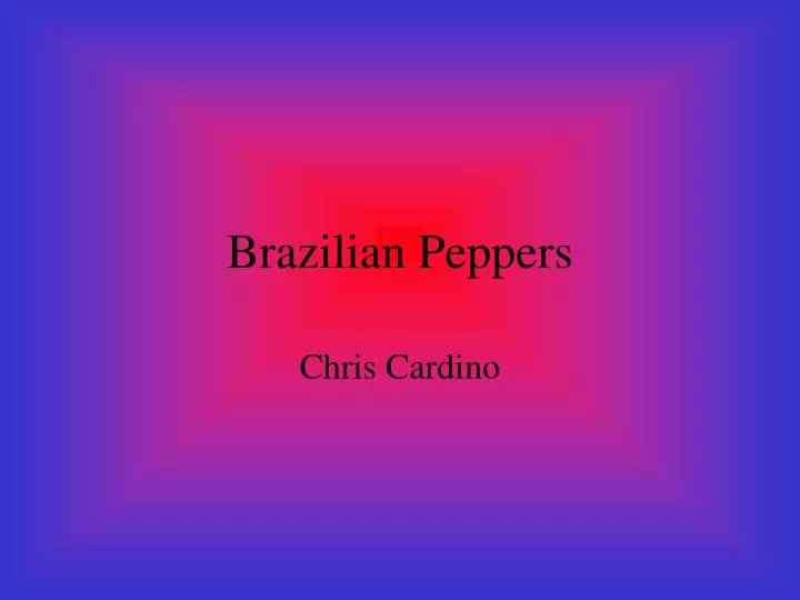 brazilian peppers