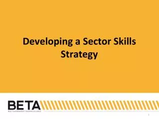 Developing a Sector Skills Strategy