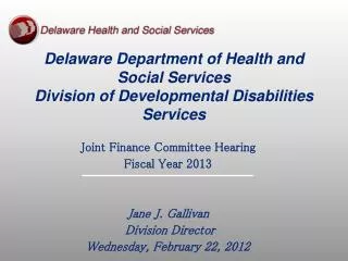 Delaware Department of Health and Social Services Division of Developmental Disabilities Services
