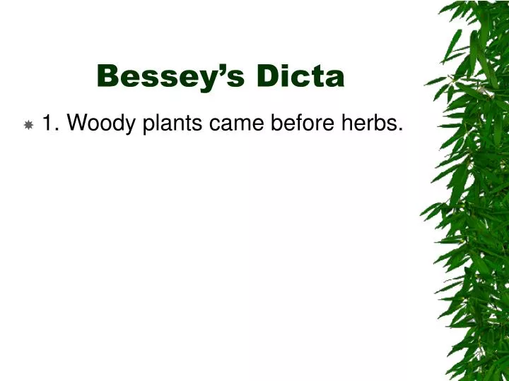 bessey s dicta