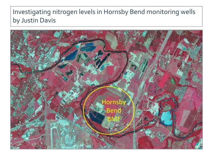 investigating nitrogen levels in hornsby bend monitoring wells by justin davis