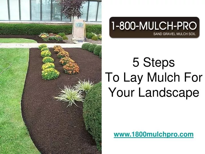 5 steps to lay mulch for your landscape