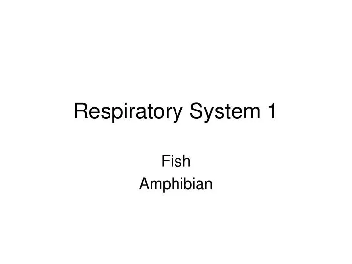 respiratory system 1