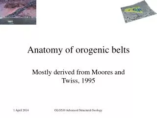 Anatomy of orogenic belts