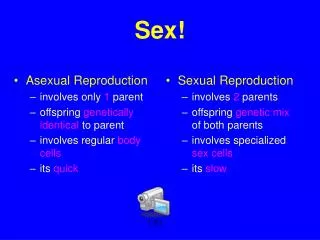 Sex!