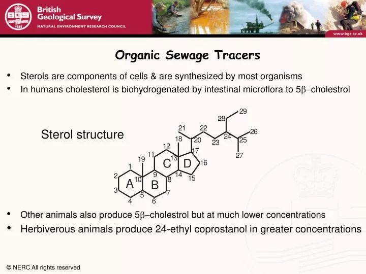 organic sewage tracers