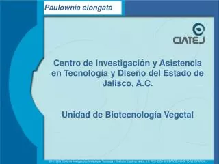 Centro de Investigación y Asistencia en Tecnología y Diseño del Estado de Jalisco, A.C. Unidad de Biotecnología Vegetal