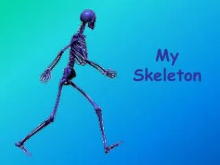 My Skeleton