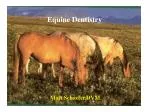 Equine Dentistry - slide 1