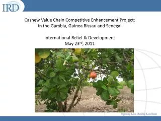Cashew Value Chain Competitive Enhancement Project: in the Gambia, Guinea Bissau and Senegal International Relief &amp;