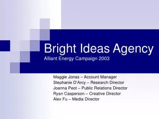 Bright Ideas Agency Alliant Energy Campaign 2003