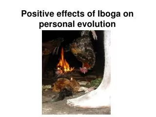 Positive effects of Iboga on personal evolution