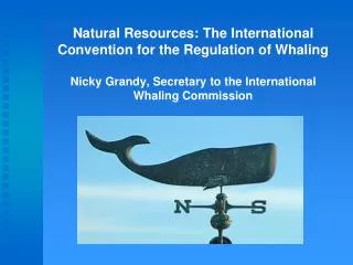Natural Resources: The International Convention for the Regulation of Whaling Nicky Grandy, Secretary to the Internation