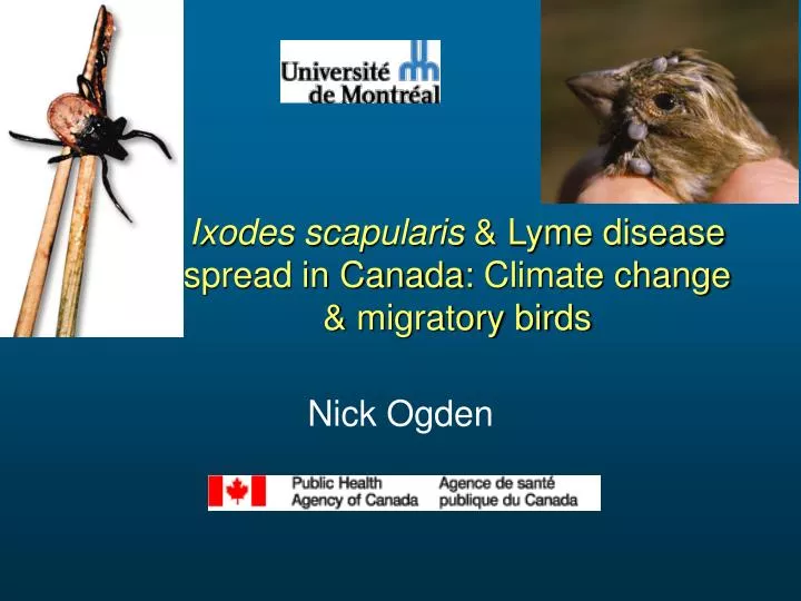 ixodes scapularis lyme disease spread in canada climate change migratory birds