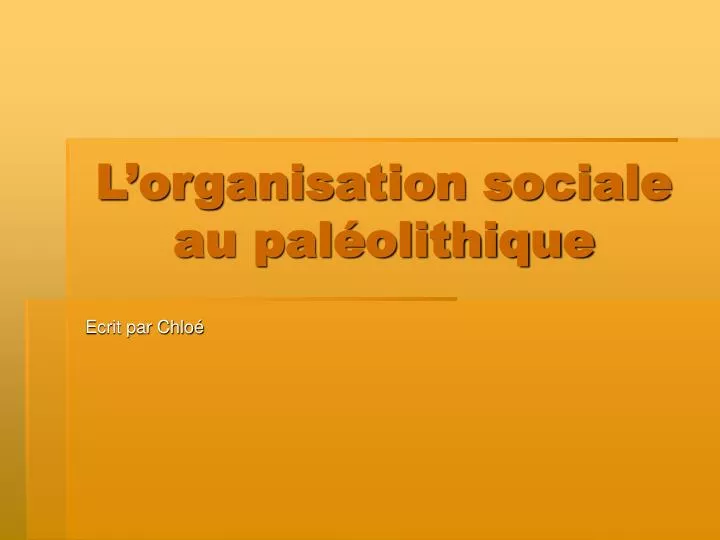 l organisation sociale au pal olithique