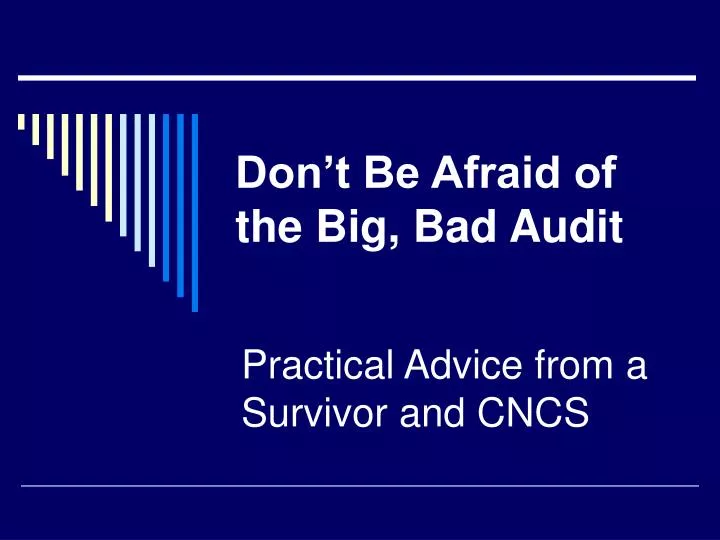 don t be afraid of the big bad audit