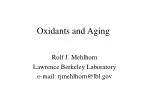 Oxidants and Aging: Insights from Free Radical Theory - slide 1