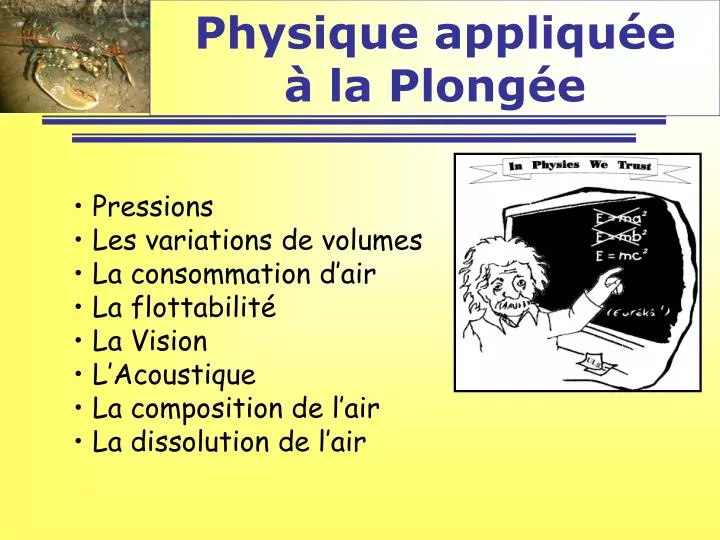 physique appliqu e la plong e