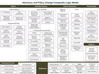 Advocacy and Policy Change Composite Logic Model